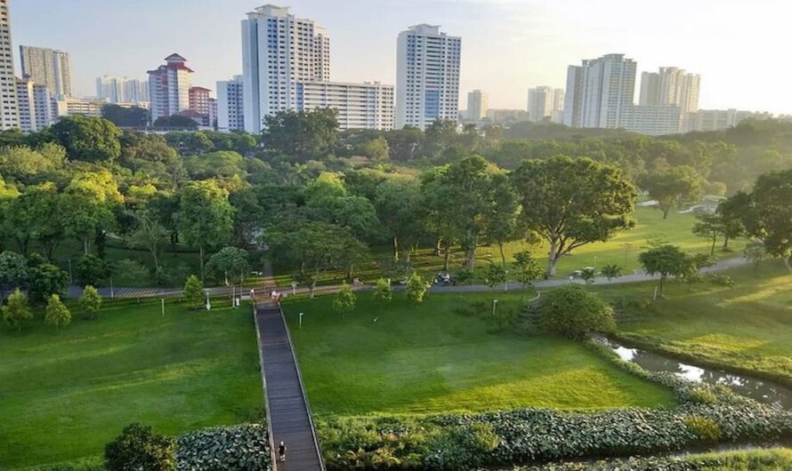 How Nature-Based Solutions Are Transforming Modern Urban Planning Strategies