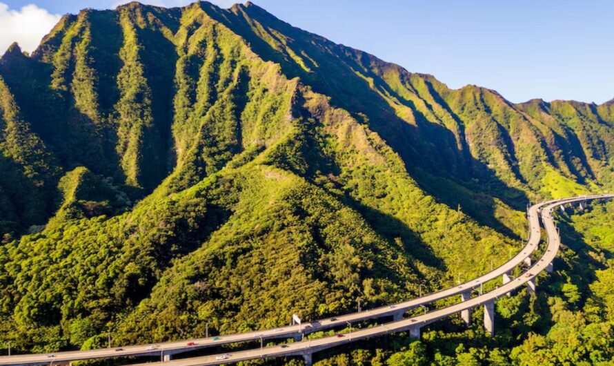 Must-Have Items for Your Road to Hana Tour